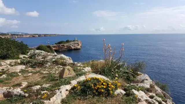 Каково население Санта-Роза?