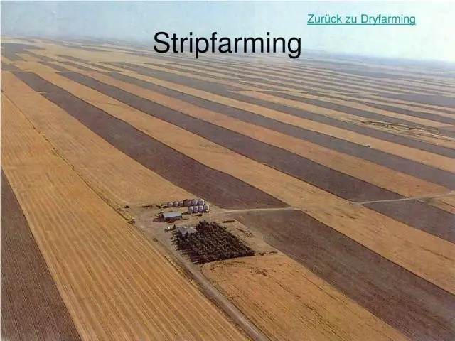 Где в США сухой климат?