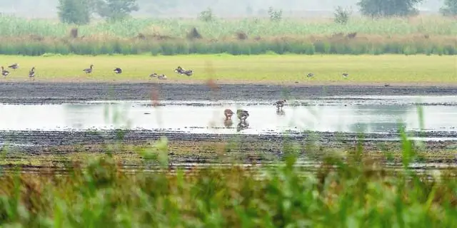 Стоит ли посетить Киама?