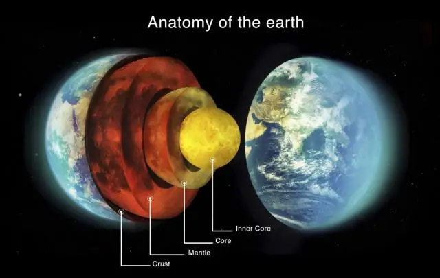 Сколько приливов наблюдается в большинстве морских портов на Земле в большинство дней?