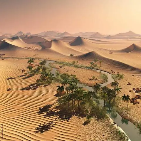 Что означает Оазис в истории?