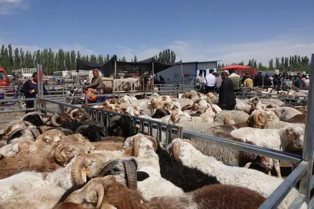 Чем занимался древний Китай на Шелковом пути?