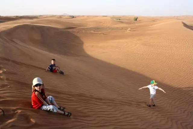 Что входит в Desert Safari Dubai?