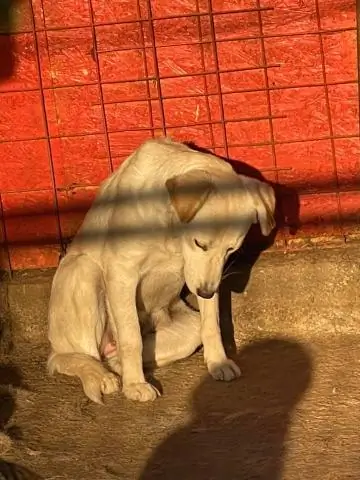 Путешествие в Канкун безопасно?