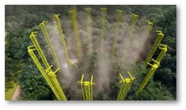 В каких зонах растут креп-мирты?