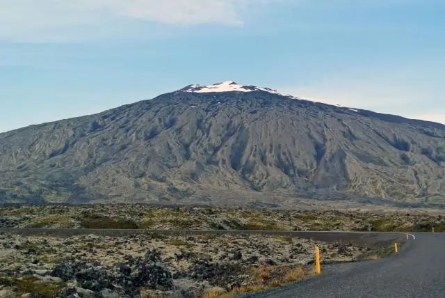 Чем известен Sunbelt?