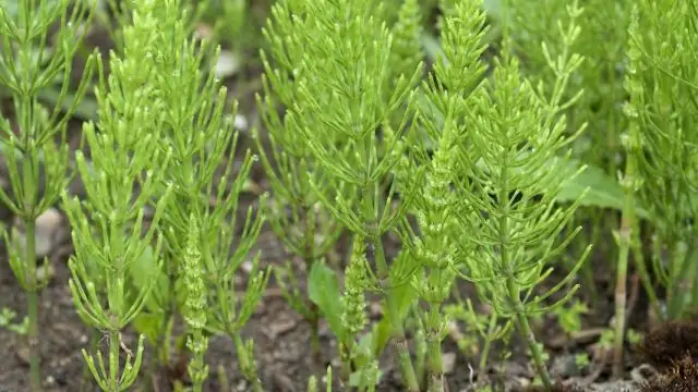 Эффективны ли вентиляторы печки?