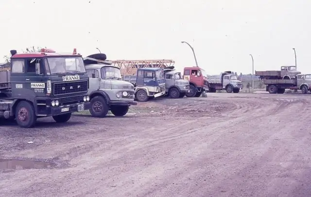 Какой код города 202 в Мичигане?