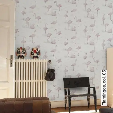 Чем отличаются фламинго?