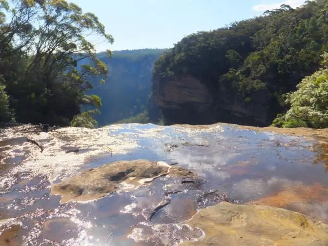 Почему 10-фунтовые помпы перекочевали в Австралию?