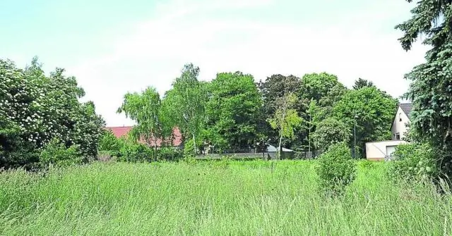 Есть ли креп-мирт куст и дерево?