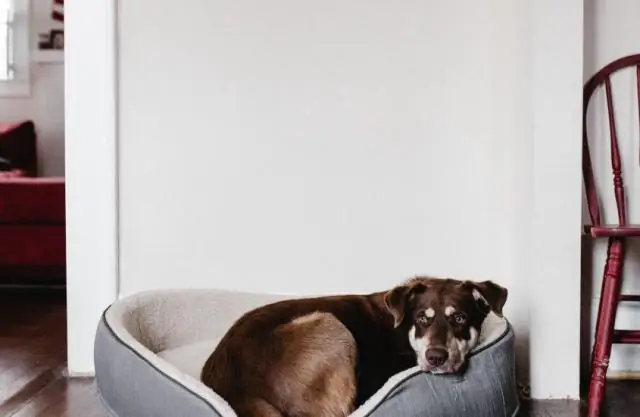 Какой тип кожи лучше всего подходит для автомобильных сидений?