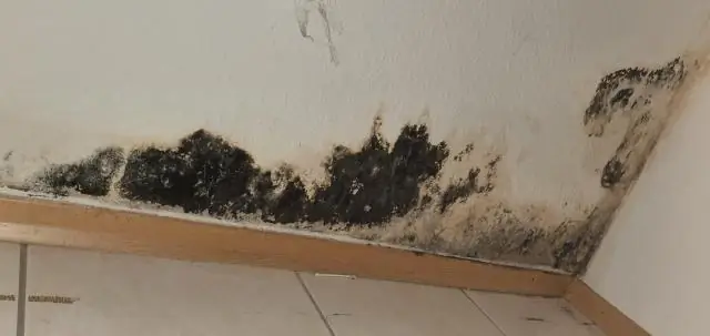 Как удалить плесень с обивки дома на колесах?