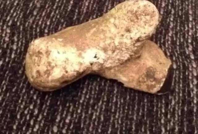 Могу ли я получить визу в Египте?