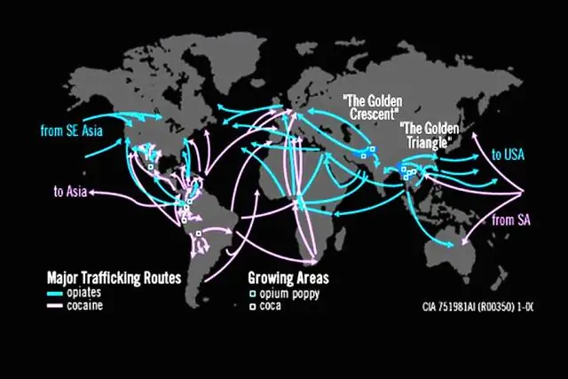 Каковы транссахарские торговые пути?