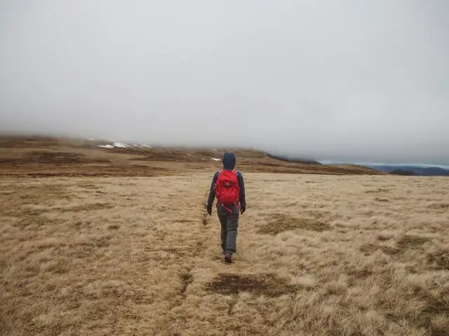 Какова была цель Британии, по мнению Черчилля?