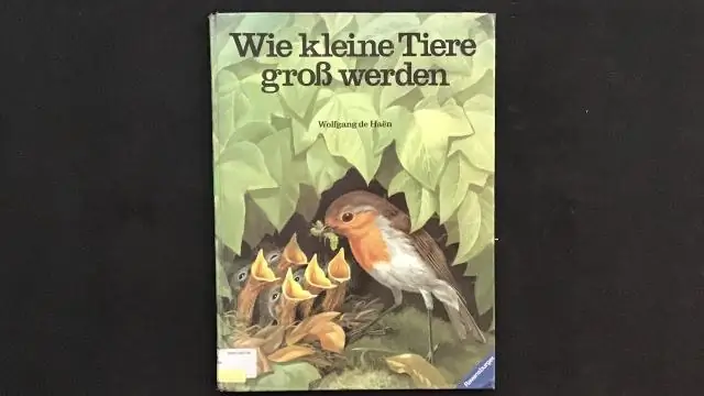 Какого роста растут люпины?