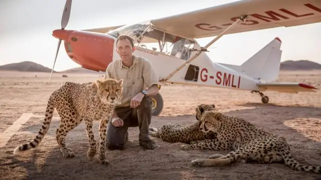 Почему крупные морские хищники не охотятся во время отлива?