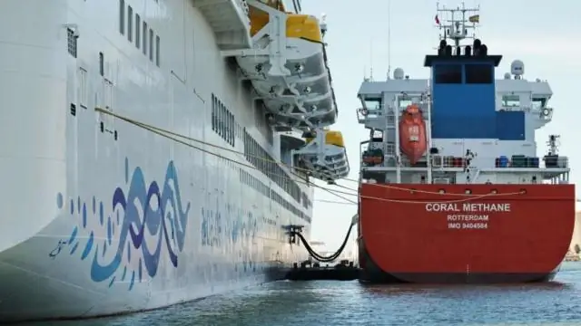 Куда деваются какашки на круизных лайнерах?