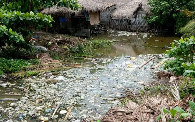 Какие водоемы являются одними из самых значительных в Юго-Восточной Азии?