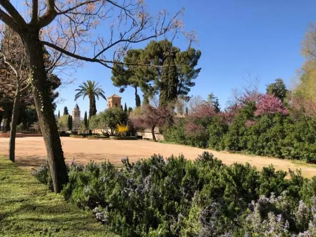 Сколько округов находится во Фремонте, Калифорния?