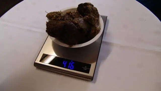 Как называется медвежья корма?