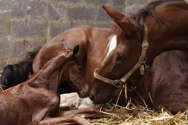 Что можно делать на земле BLM?