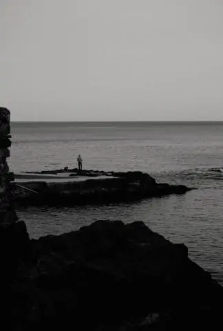 Какова среда обитания португальского военного деятеля?