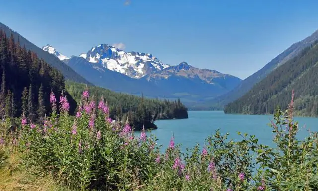 Какие формы рельефа проходят через США и Канаду?