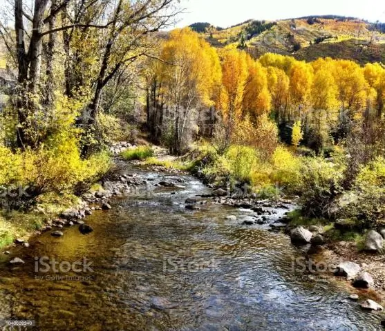 Куда меняются осины в Колорадо?