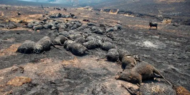 Сколько штатов на карте?