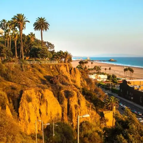 Сколько секвойи в Калифорнии?