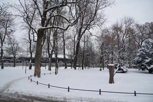 Сколько дюймов снега выпало в Элленсбурге?