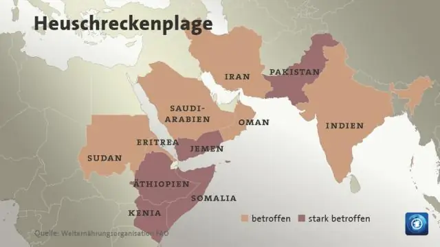 Какие страны граничат с Восточным Тимором?