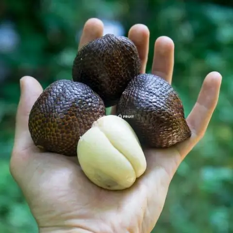 Какой код аэропорта у Таиланда?