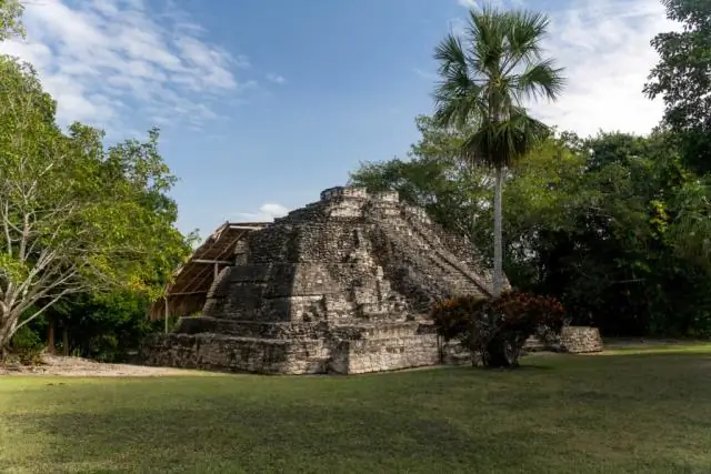 Из чего майя построили свои дома?