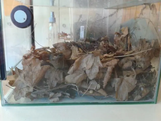 Где находятся лиманы?