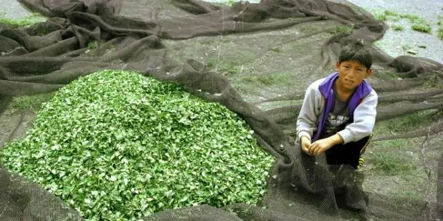 Что можно купить в Боливии?