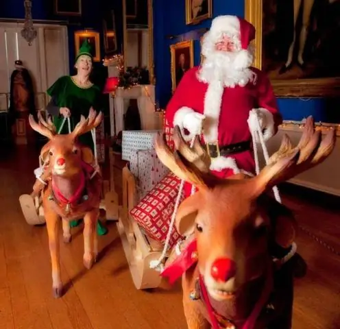 Насколько велики сани?