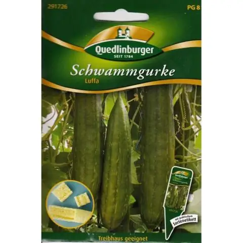 Где я могу купить семена люфы?