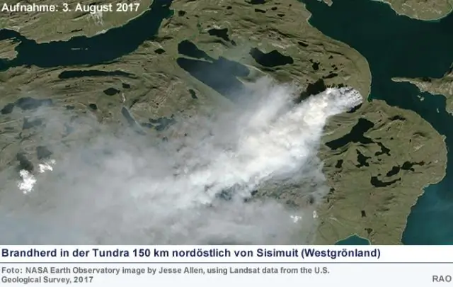 Почему тундра в опасности?