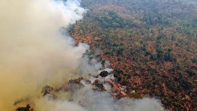 Почему река Амазонка коричневая?