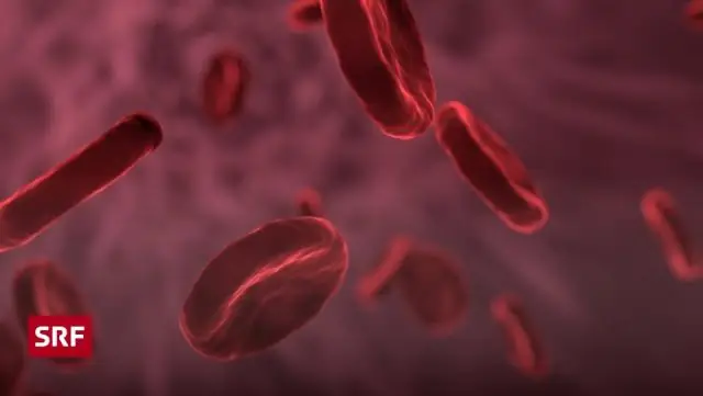 Почему кровь падает красным?