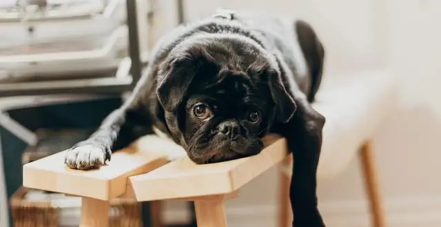 Какой лучший поезд от Карачи до Равалпинди?