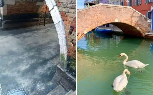 Вы умеете плавать в каналах Венеции?