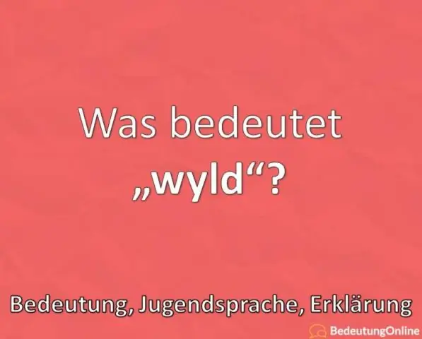 Что означает Вильдин?