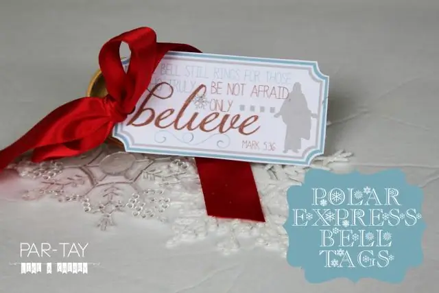 Что такое день полярного экспресса?