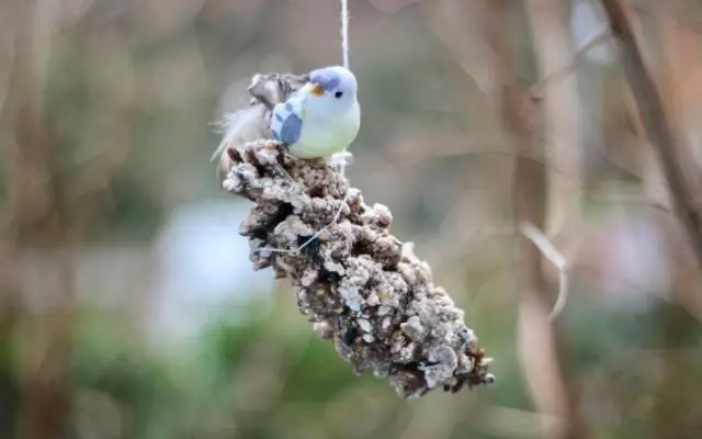 Сколько дней вам нужно в Мумбаи?