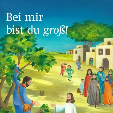 Как мне стать гражданином Сент-Люсии?