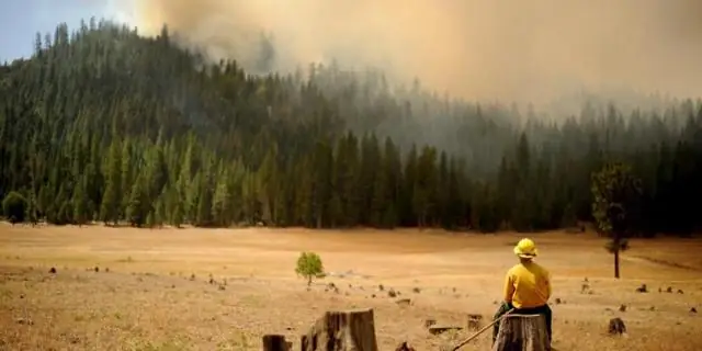 Национальный парк Йосемити горит?